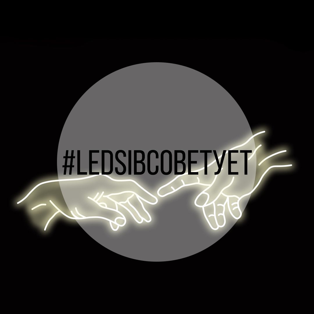 Led-sib советует гибкий неон