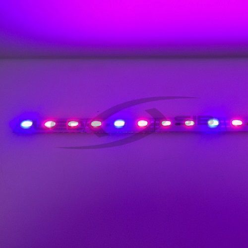 фито линейка ls smd 5630/72 led, max 16 w 990x12x2.5 12v, ip33 Фито линейка LS SMD 5630/72 LED, MAX 16 W 990x12x2.5 12V, IP33