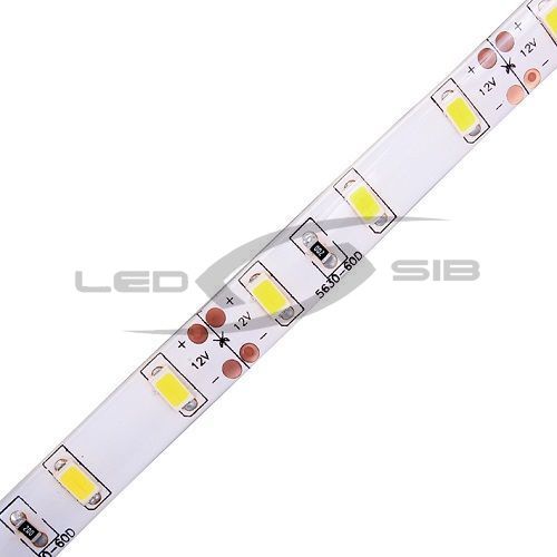 Светодиодная лента LS ЭКО влагозащищенная SMD 5630-300-12 IP65 720Lm (двухслойная)